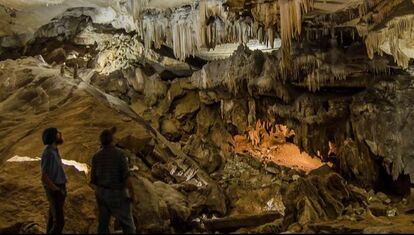 Two individuals stand looking at the ceiling of a cave with many stalactites hanging down