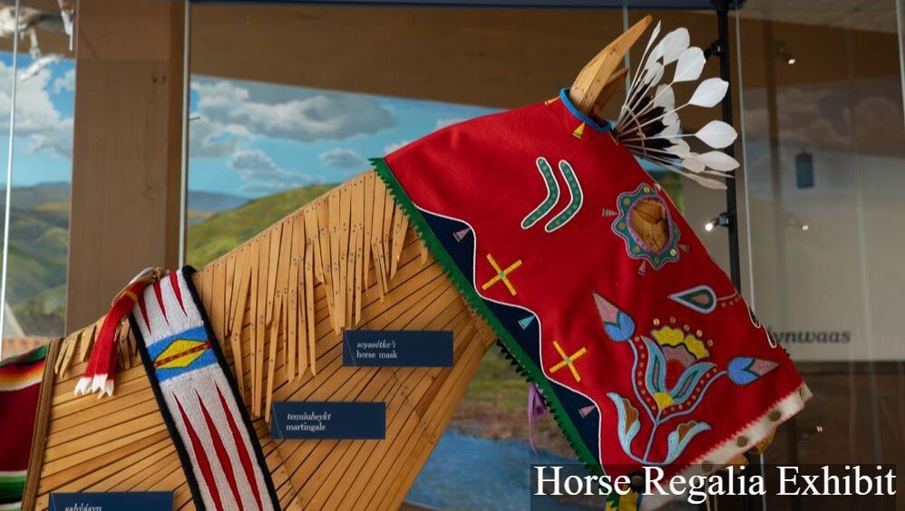 A horse mannequin adorned in various colorful adornments