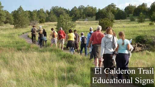 A group of people follows a National Park Service ranger in uniform down a trail across a meadow area interspersed with trees