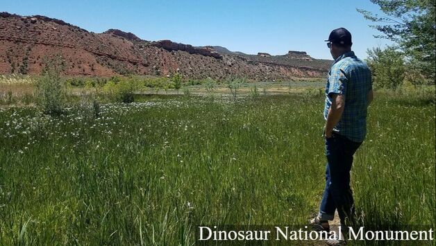 A person looks out of a grassy meadow toward a red rocky ridge in the background