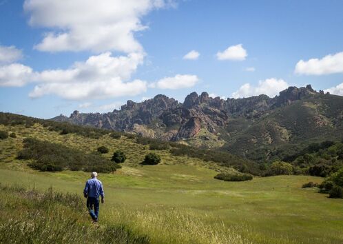 A person walks across a grassy meadow with the Pinnacles rock formations in the background