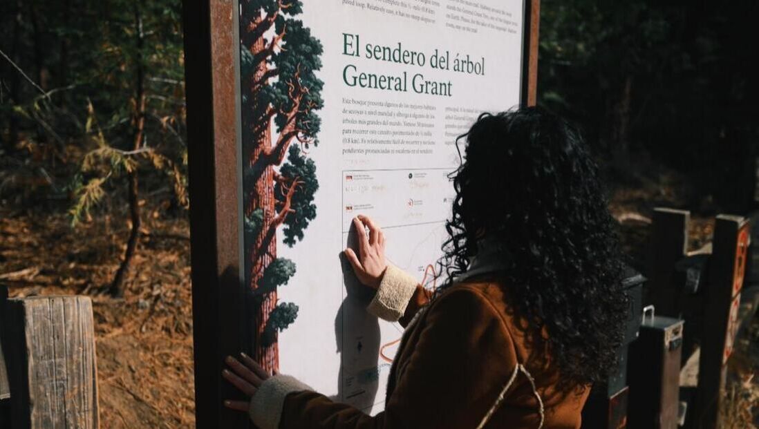 A person stands in front of an informational sign about the General Grant Tree reading braille via hand