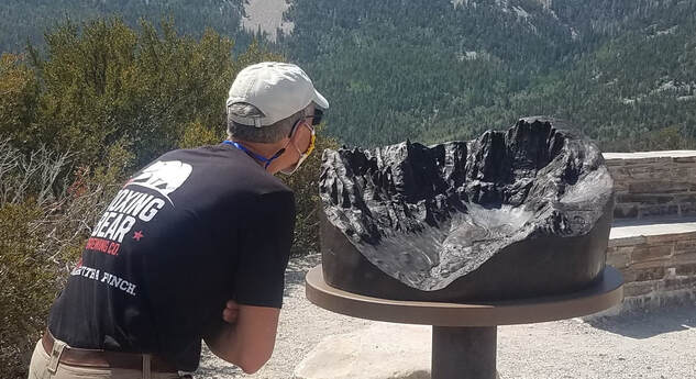A visitor looks closely at the Wheeler Peak Cirque, depicted in a bronze relief map