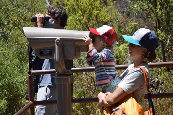 A small child is held up to look through binoculars at the Hosmer Grove