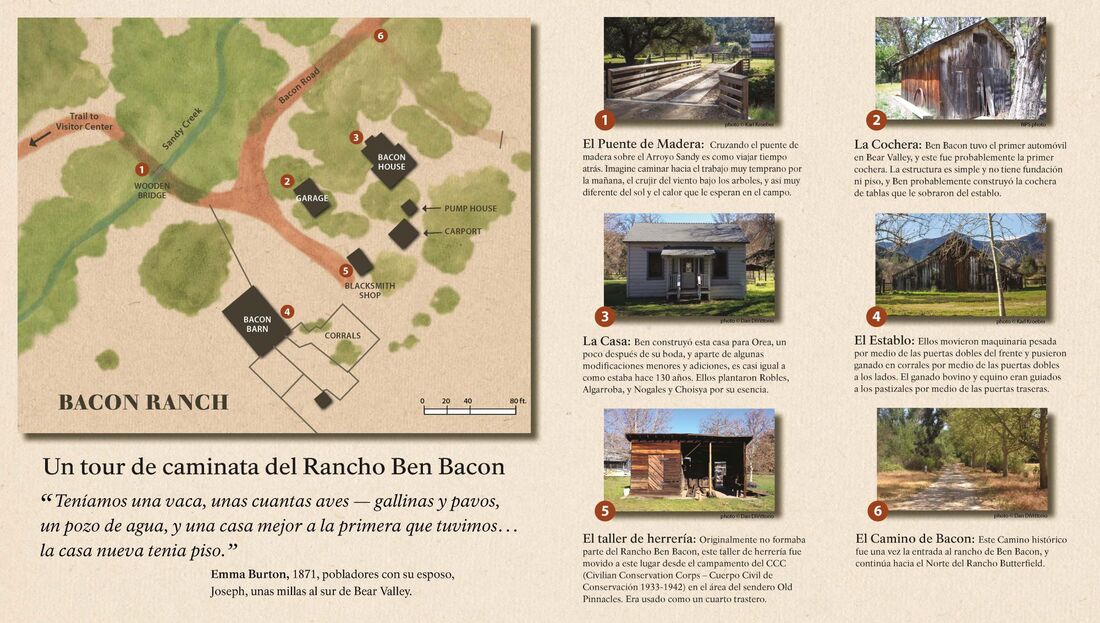 Inside of Bacon Ranch brochure (Spanish version)