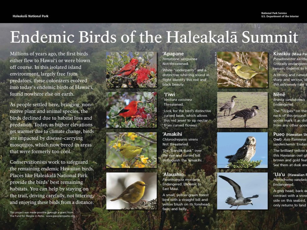 A close-up of the educational sign for endemic birds of the Haleakalā Summit