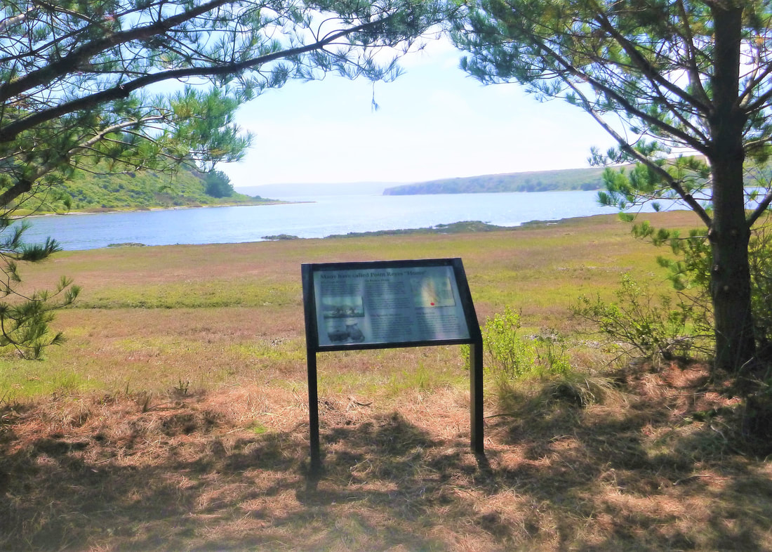 A wayside educational sign stands along the edge of the trail with Drakes Estero behind