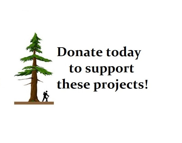 The Fund for People in Parks logo with the words "Donate today to support these projects!"