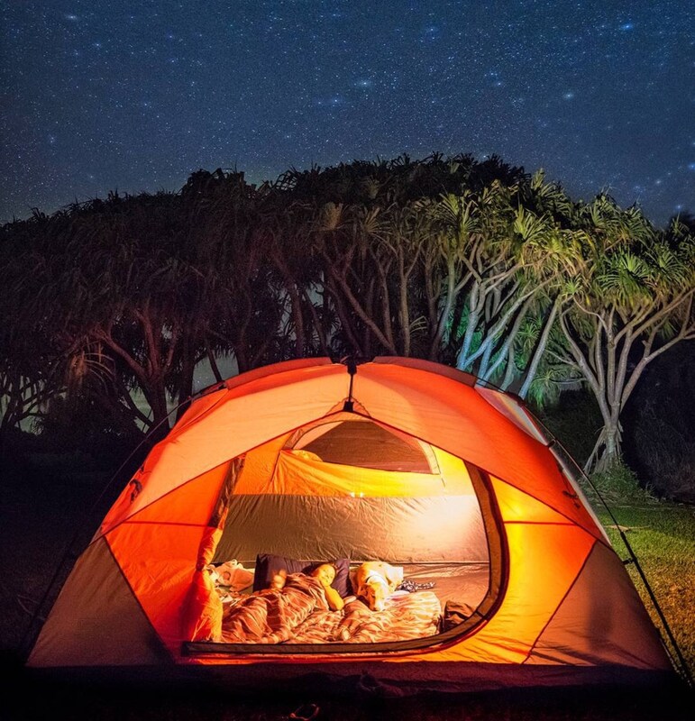 Campers lie inside an orange tent that is lit up and has an open door, underneath a starry sky and tropical trees.