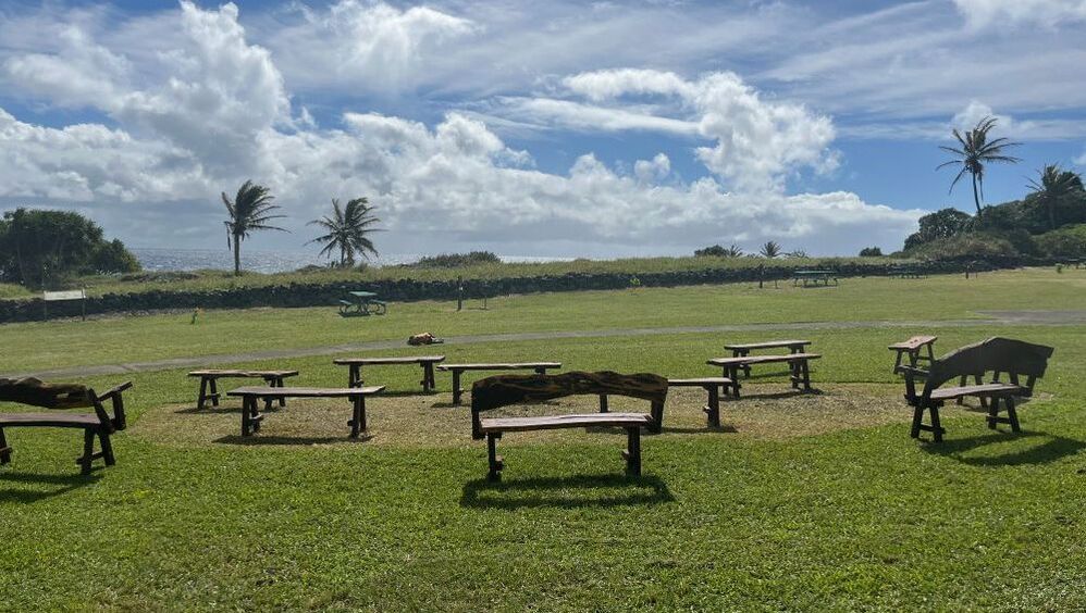 A group of about 10 wooden benches sits facing a grassy area with palm trees and a cloudy sky in the background