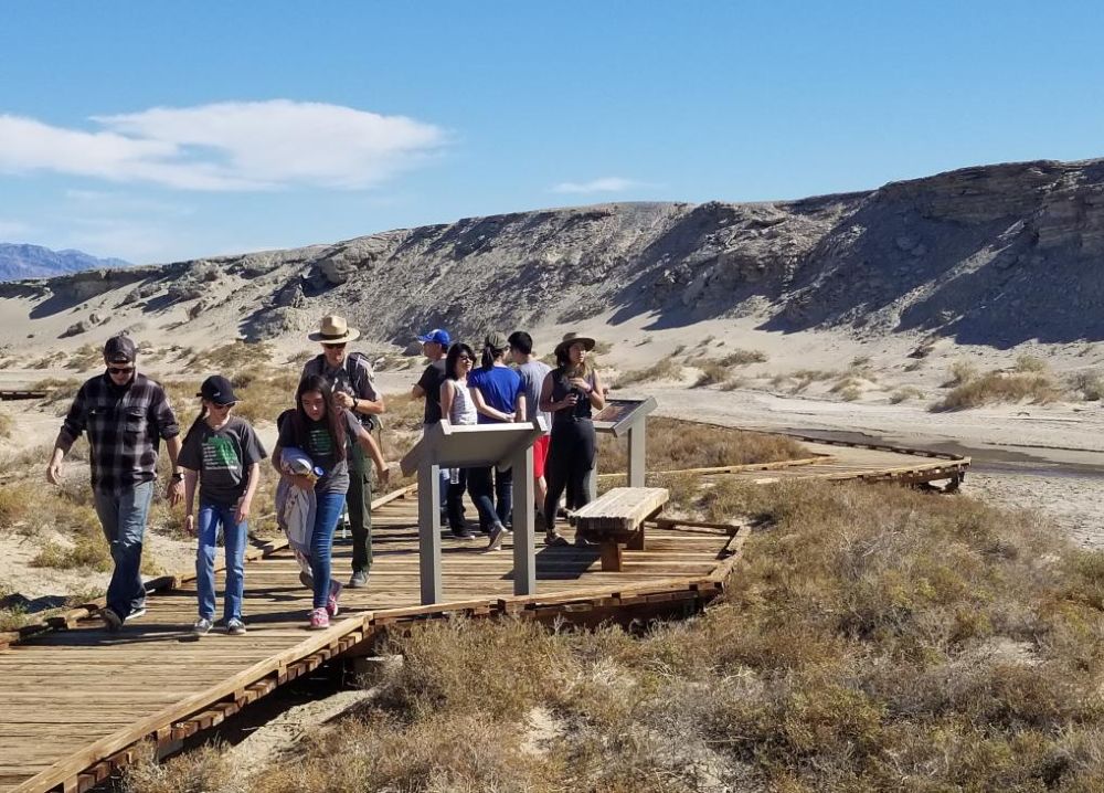 A group of people, including two rangers in uniform, walk along a boardwalk elevated above a sandy creek bed with a hillside bordering the creek. Two educational signs and a bench are along the edge of the boardwalk
