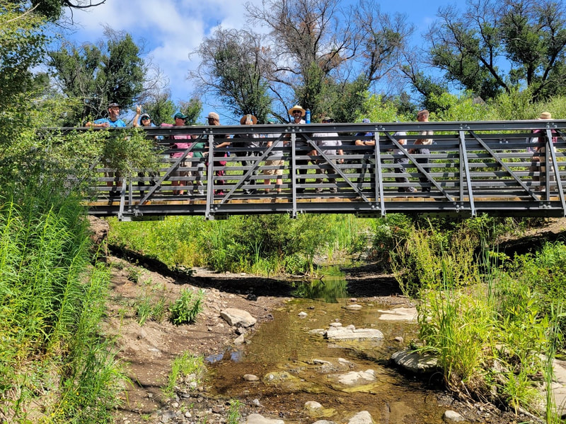 People stand on a metal slatted bridge over a shallow creek