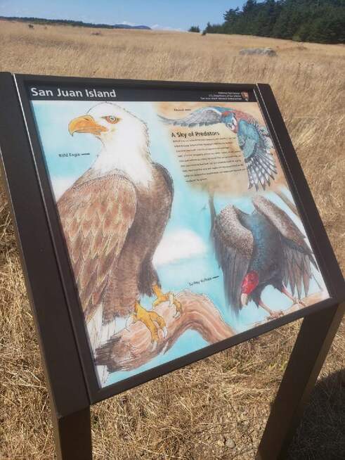 A wayside educational sign featuring birds of prey