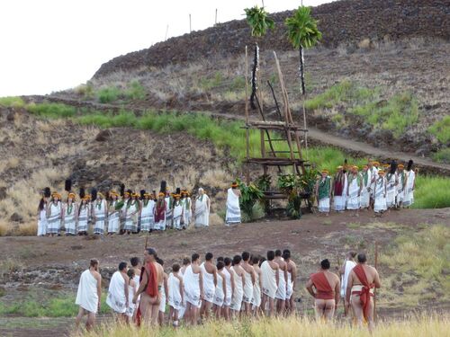 A group of people wearing traditional togas, some wearing flower headbands, stand around a large wooden structure in ceremony at Pu'kohola Heiau