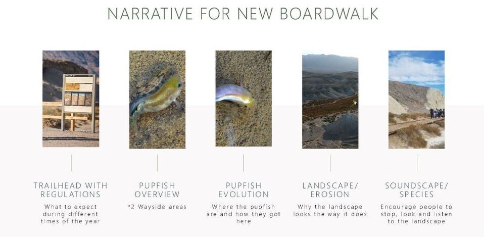 A layout of five different elements for the new educational narrative for the boardwalk: trailhead with regulations, pupfish overview, pupfish evolution, landscape/erosion, and soundscape/species