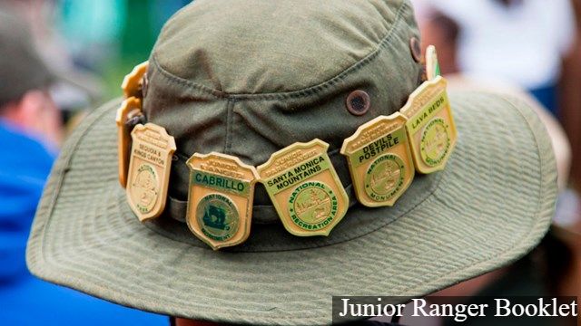 A hat with a wide brim is adorned with many Junior Ranger badges from different National Parks