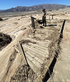 A National Park Service ranger in uniform stands on a boardwalk, damaged by debris and mud flows