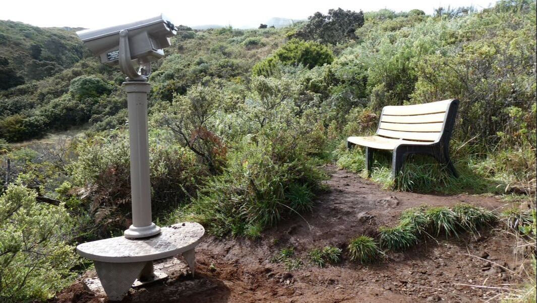 A fixed binocular viewing scope and bench sit among a tropical landscape at the Hosmer Grove