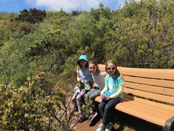 Young visitors sit on a new bench among the lush trees of the Hosmer Grove
