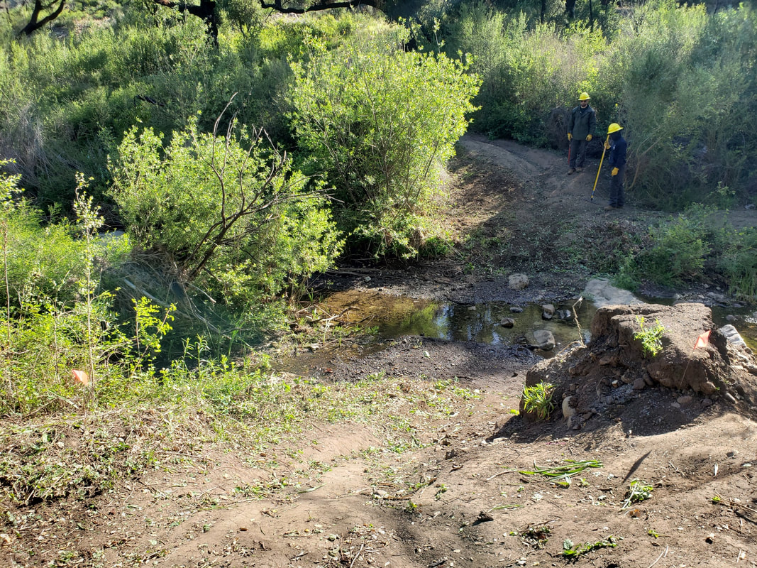 Two rangers in hard hats stand on the opposite bank of a creek with abundant green foliage all around