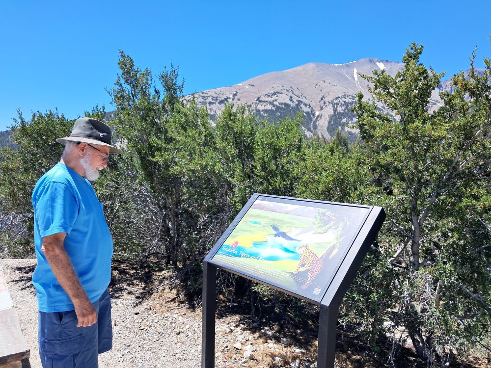 A person looks at a colorful sign with images of prehistoric animals with the Snake Range Mountains behind