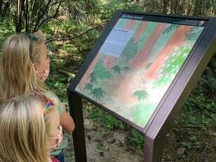 Two children look at an educational sign with a watercolor image of the forest