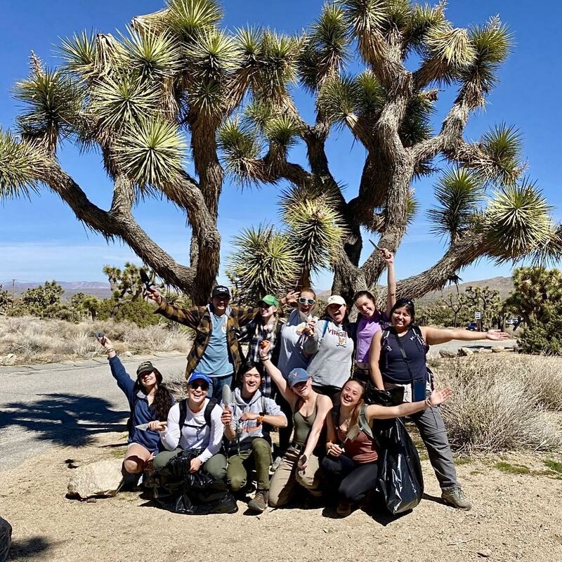 A group of happy people, some with arms out wide, stand and squat in two rows in front of a large Joshua tree